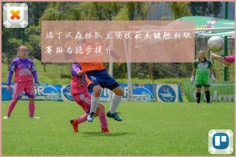 诺丁汉森林队主场收获关键胜利联赛排名稳步提升