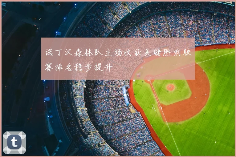 诺丁汉森林队主场收获关键胜利联赛排名稳步提升
