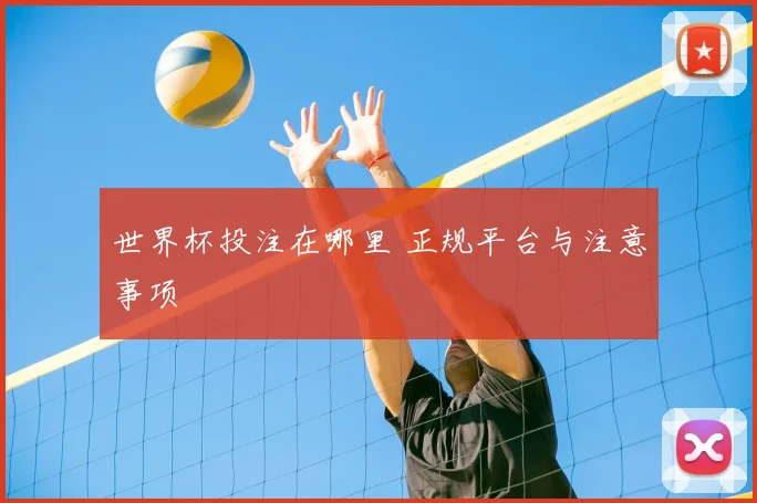 世界杯投注在哪里 正规平台与注意事项