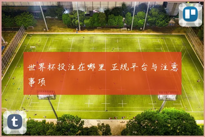 世界杯投注在哪里 正规平台与注意事项
